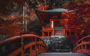 紅色木橋通往被秋葉環繞的傳統日本神社。 — 日式粉紅 壁紙