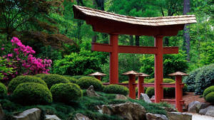 紅色日本鳥居被綠色灌木和粉紅色花朵包圍，位於寧靜花園中。 — 阿拉巴馬 壁紙