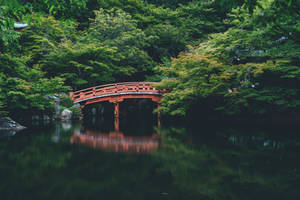 紅色木橋倒映在平靜的水面上，周圍綠樹環繞。 — 日本 壁紙
