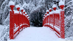 在雪地森林中，一座被雪覆蓋的紅色木橋。 — 冬季風景 壁紙