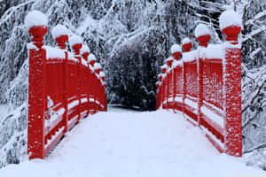 一座被雪覆蓋的紅色木橋在雪白的森林中。 — 日式 壁紙