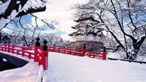 被雪覆蓋的紅色橋樑通往冬季的傳統日本城堡。 — 冬季風景 壁紙