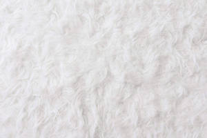 fluffy 白色紋理地毯表面的特寫。 — 純白 壁紙