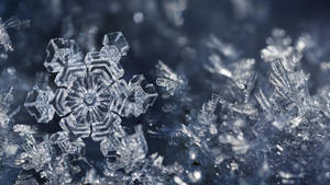藍色背景上，一個細節豐富的雪花及其周圍冰晶的特寫。 — 雪景 GIF 壁紙