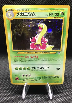 一張Pokémon交易卡，展示帶有粉紅色花瓣的Mega Bayleef，展示在透明支架上。 — 寶可夢 壁紙