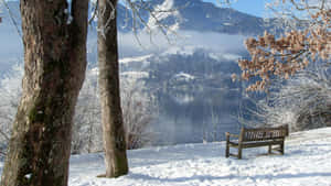 積雪的長凳俯瞰著結冰的湖泊，背景是山脈。 — 冬季風景 壁紙