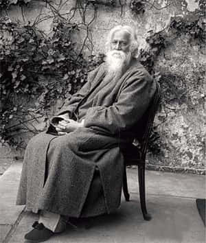 一位長著長長白鬍子的老人，平靜地坐在戶外的椅子上，背景是爬滿藤蔓的石牆。 — 西德哈特·马尔霍特拉 壁紙