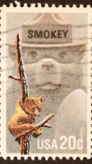 Smokey the Bear郵票，樹枝上有一隻小熊。 — 可愛熊 壁紙