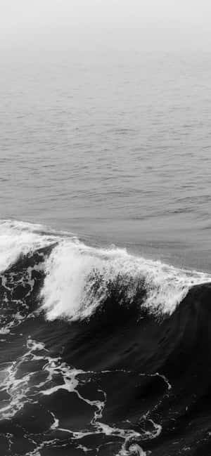 在平靜海面上，一道戲劇性的黑白海浪翻騰著白色泡沫。 — 波浪 壁紙