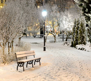 被雪覆蓋的公園長椅，夜晚在明亮的路燈下，有結霜的樹木和腳印。 — 冬季風景 壁紙