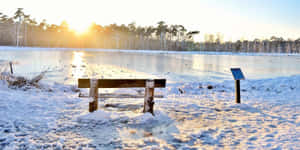結冰湖邊的雪凳，日出，背景有樹木 — 冬季風景 壁紙
