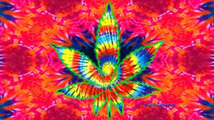 鮮豔的迷幻紮染大麻葉圖形，帶有彩虹色彩。 — 暗色花卉 壁紙