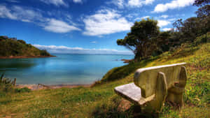 木凳俯瞰平靜的藍色海灣，周圍有綠色山丘和多雲的天空。 — 風景 壁紙