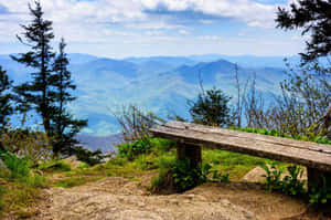 木長椅位於山頂觀景點，俯瞰森林和遠山，藍天白雲 — 山景 壁紙