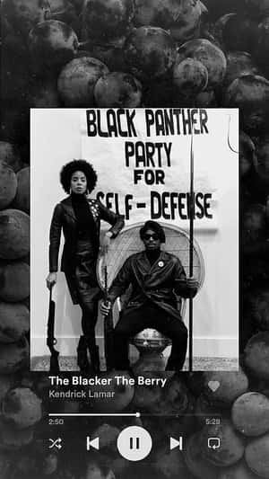 Black Panther Party 成員在橫幅後持步槍，周圍環繞深色漿果。 — 黑豹 壁紙