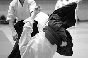 合氣道練習者在武術訓練中移動。 — 運動 壁紙