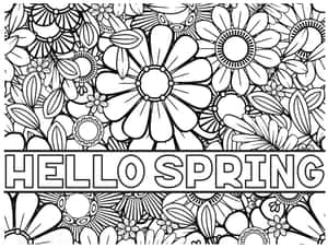 帶有「Hello Spring」文字的黑白花卉著色頁。 — 可愛春天 壁紙