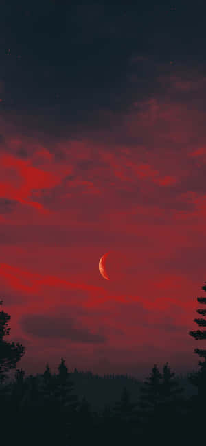 夜晚黑暗森林上方帶有新月的紅色天空 — iPhone 18 Pro 壁紙