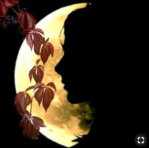 紅色樹葉和漿果在夜晚環繞著形似人類側面的新月。 — 美學月亮 壁紙