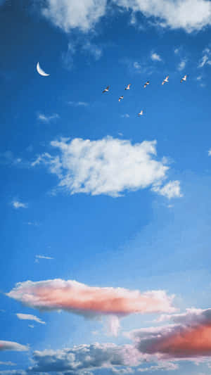 鳥兒在新月和彩色雲朵下編隊飛行。 — 黃昏 壁紙
