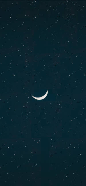 新月在繁星點點的夜空中閃耀。 — 月光 壁紙