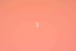 一彎月牙漂浮在蜜桃色的天空中。 — 月亮與星星 壁紙