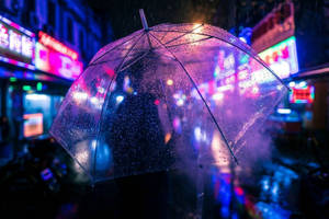 人在雨夜城市中霓虹燈下拿著透明雨傘。 — 光線 壁紙