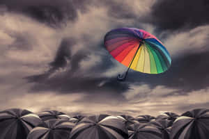 在暴風雨的天空下，一把彩色傘漂浮在許多灰色和白色傘的上方。 — 創意 壁紙