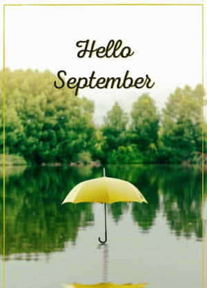 黃色雨傘漂浮在水面上，樹木倒影，文字Hello September — 九月 壁紙