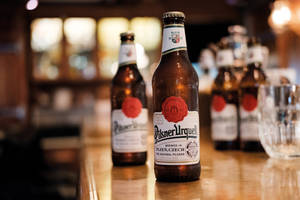 Pilsner Urquell 啤酒瓶在酒吧中，帶有溫暖燈光和模糊背景。 — 超酷滴落 壁紙
