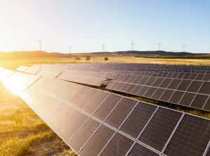 陽光明媚的開闊田野中的太陽能板和風力發電機。 — 薇薇 壁紙