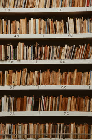 一排排書籍放在帶標籤的圖書館書架上，色調溫暖 — 小米平板 9 Pro 壁紙