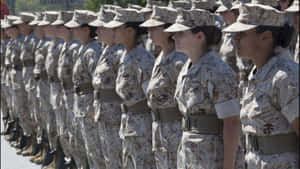 身穿沙漠迷彩制服的女海軍陸戰隊員在戶外列隊。 — 美國陸軍 GIF 壁紙