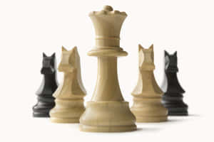 西洋棋圖片 — 桌球 壁紙