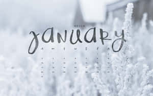 一月日曆，冬日雪景中有霜凍的樹枝。 — 新年快樂 壁紙