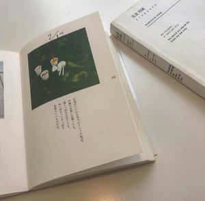 美感米色圖片 — 書本美學 壁紙