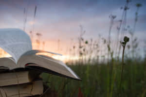 夕陽下草地上的一堆書，其中一本打開 — 聖經經文美學 壁紙