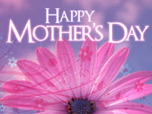Happy Mother's Day 問候，帶有一朵大粉紅色花朵和裝飾性漩渦。 — 4:3 壁紙