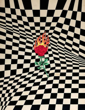 一朵被火焰吞沒的紅玫瑰，在扭曲的黑白棋盤格表面上。 — 閃爍 壁紙