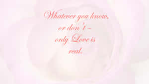 一朵粉紅玫瑰，帶有語句「Whatever you know or don't - only Love is real.」 — 高清 壁紙