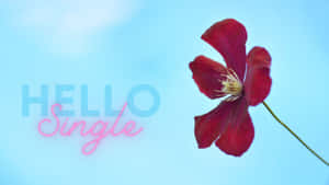 一朵紅色的鐵線蓮花，帶有霓虹燈 hello single 文字，背景為藍色。 — 單身 壁紙
