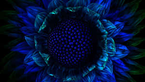 一朵發光的藍色花朵，帶有珠飾花心，背景為黑色。 — 花朵美學動態圖 壁紙