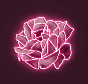 在深色背景上發光的霓虹粉紅玫瑰。 — 霓虹粉紅美學 壁紙