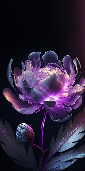 一朵發光的紫色牡丹花，背景深色，下方有一個花蕾。 — 花 iPhone 壁紙