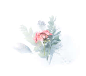粉紅色花朵與綠色葉子融入迷濛白色背景。 — 唯美花卉 壁紙