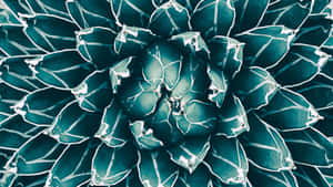 5120x2880