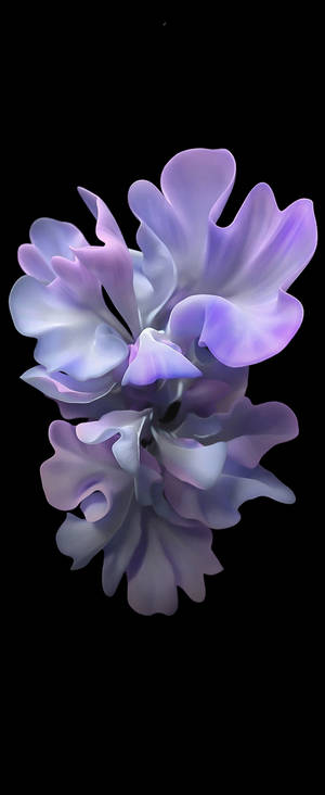 黑色背景上發光的紫白抽象花朵。 — 三星 壁紙