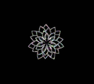 在黑色背景上發光的彩虹色碎形花朵圖案 — 抽象 壁紙