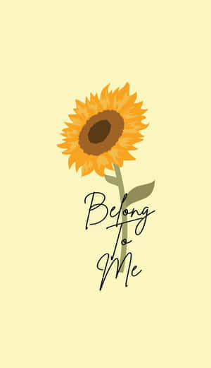 向日葵在淡黃色背景上以優雅字體顯示「Belong To Me」文字。 — 向日葵花田 壁紙