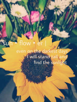 一朵向日葵，上面寫著「sun flow er | 即使在最黑暗的日子裡，我也會挺直腰桿，找到陽光」 — 語錄 壁紙